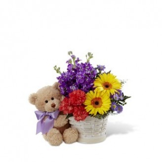 Best Wishes Combo Of Flowers And Teddy Best selling Delivery Jaipur, Rajasthan